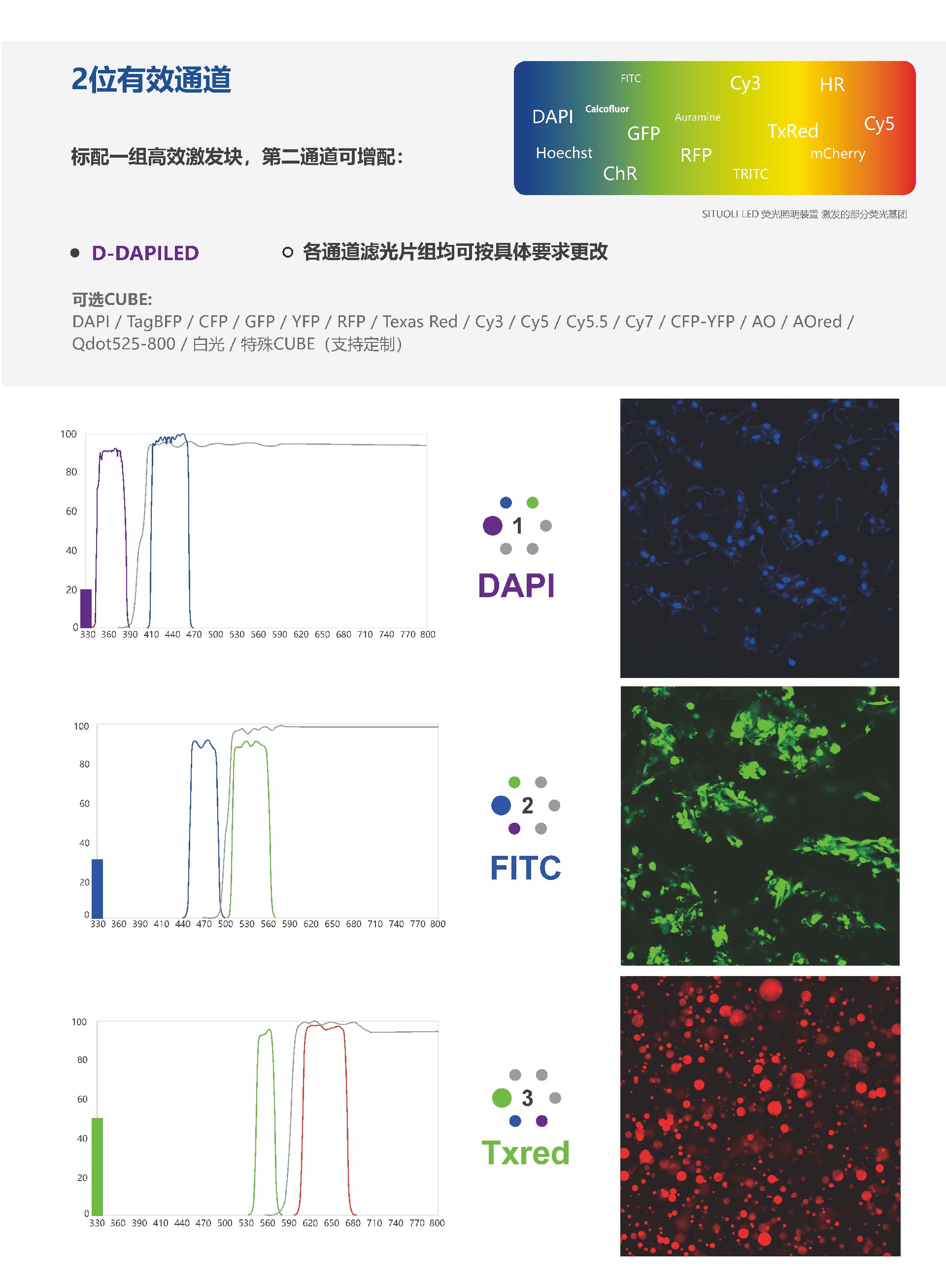 STL-LEDRFA2 正置2位荧光模块_页面_3.jpg