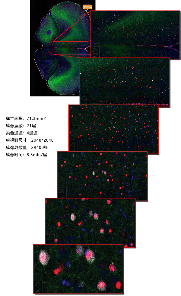 15988568602457.png 0320207859.png