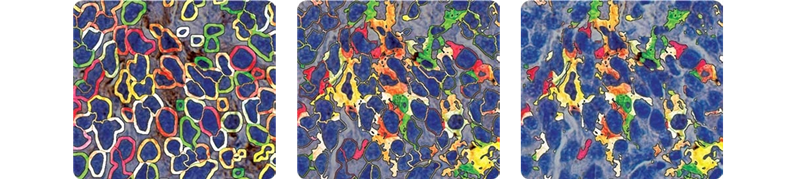 15988588205091.png 1218064967.png