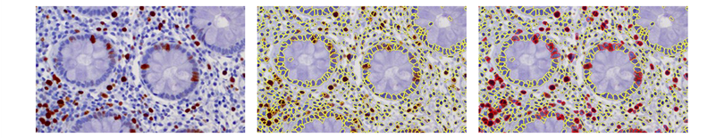 15988587124892.png 1202419986.png