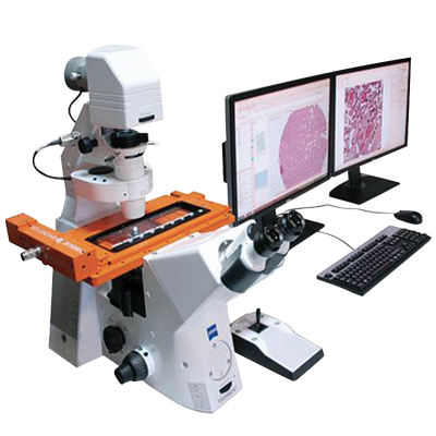 16346352293936.png tg4.png