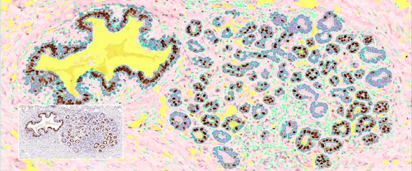 15988596715145.png 0232334035.png