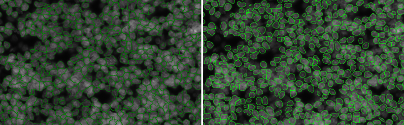 15988595615675.png 0558481877.png