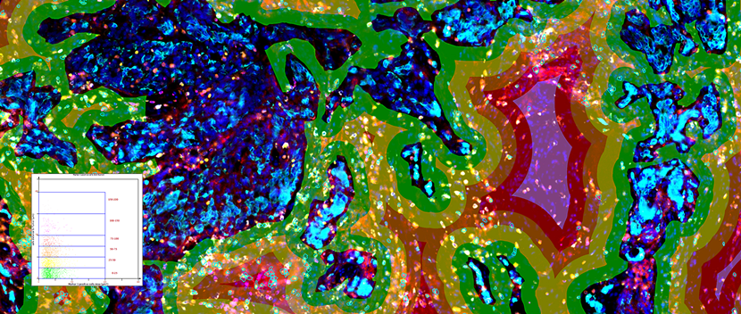 15988600352886.png 1137417740.png