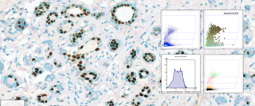 15988601018022.png 0408274475.png