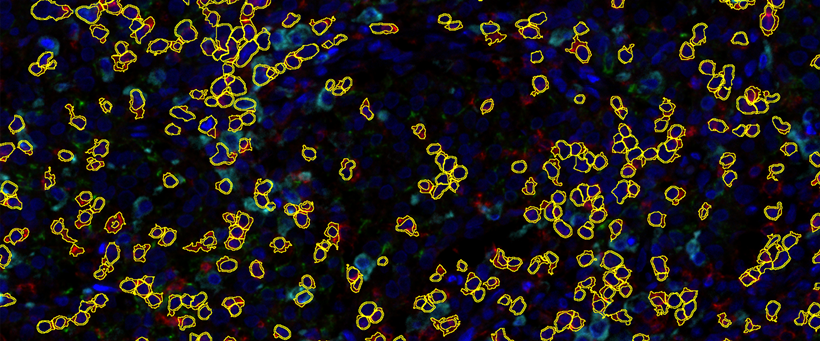 15988613746036.png 0215499066.png