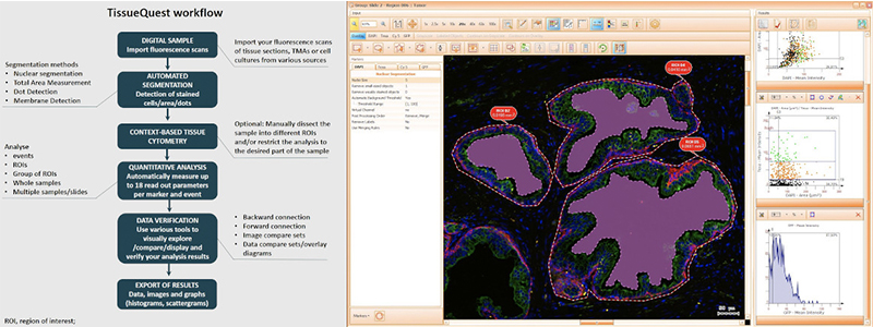 16347015966424.png tg10.png