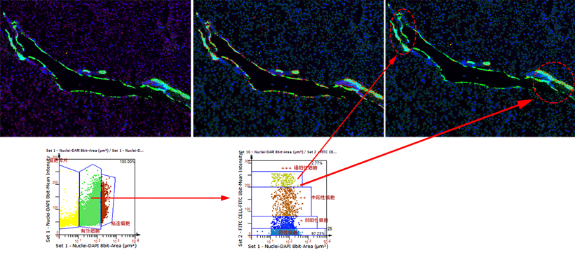 15988615538111.png 0453301709.png