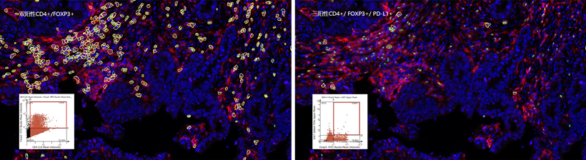 15988616226300.png 1220138350.png