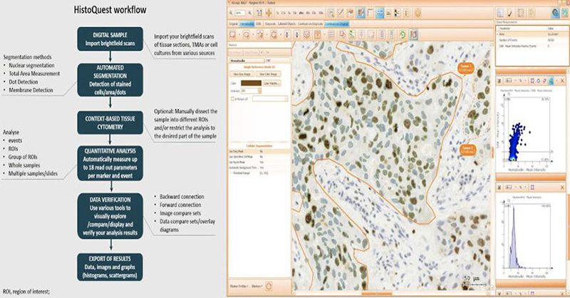 16347014546261.png tg8.png