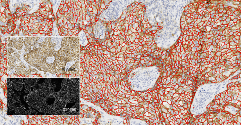 15988619337783.png 1125565142.png