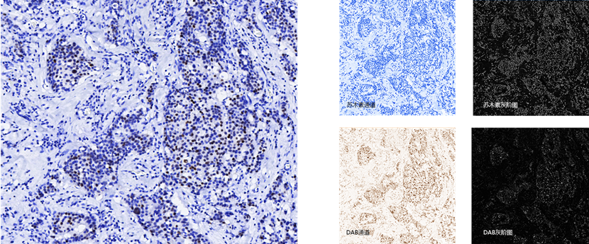 15988620056110.png 0159101842.png