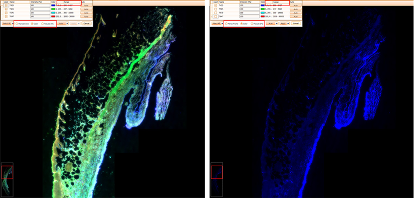 15988628441571.png 0200510971.png