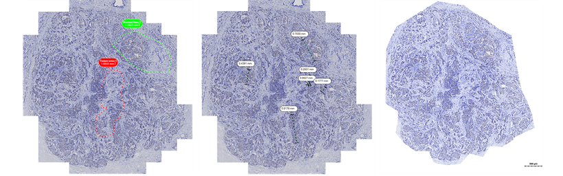 15988626869262.png 0528473676.png