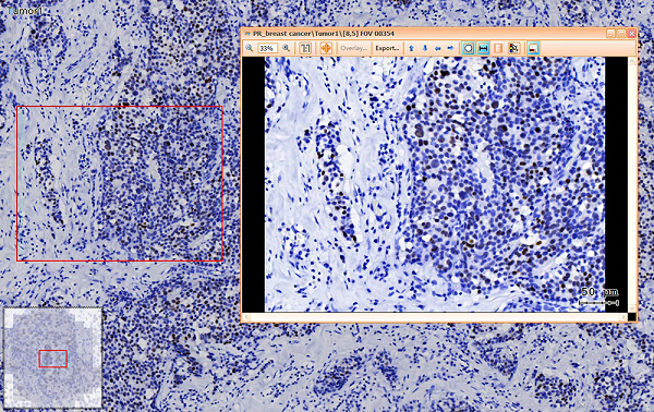 15988627403275.png 0535075935.png