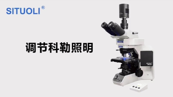 正置显微镜柯勒照明调节