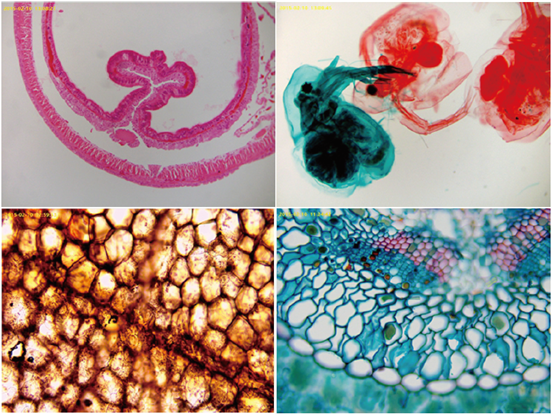 15955775533233.png image.png