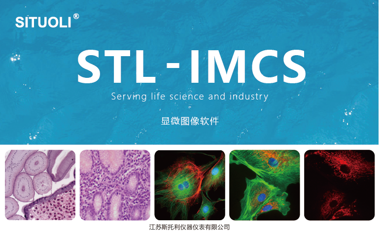 STL-IMCS V1.0显微图像处理软件