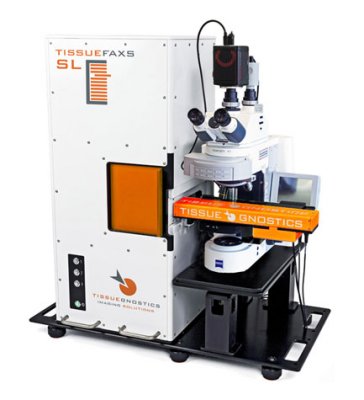 15922042475419.png image.png