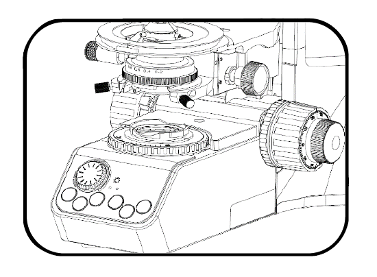 正置显微镜柯勒照明调节