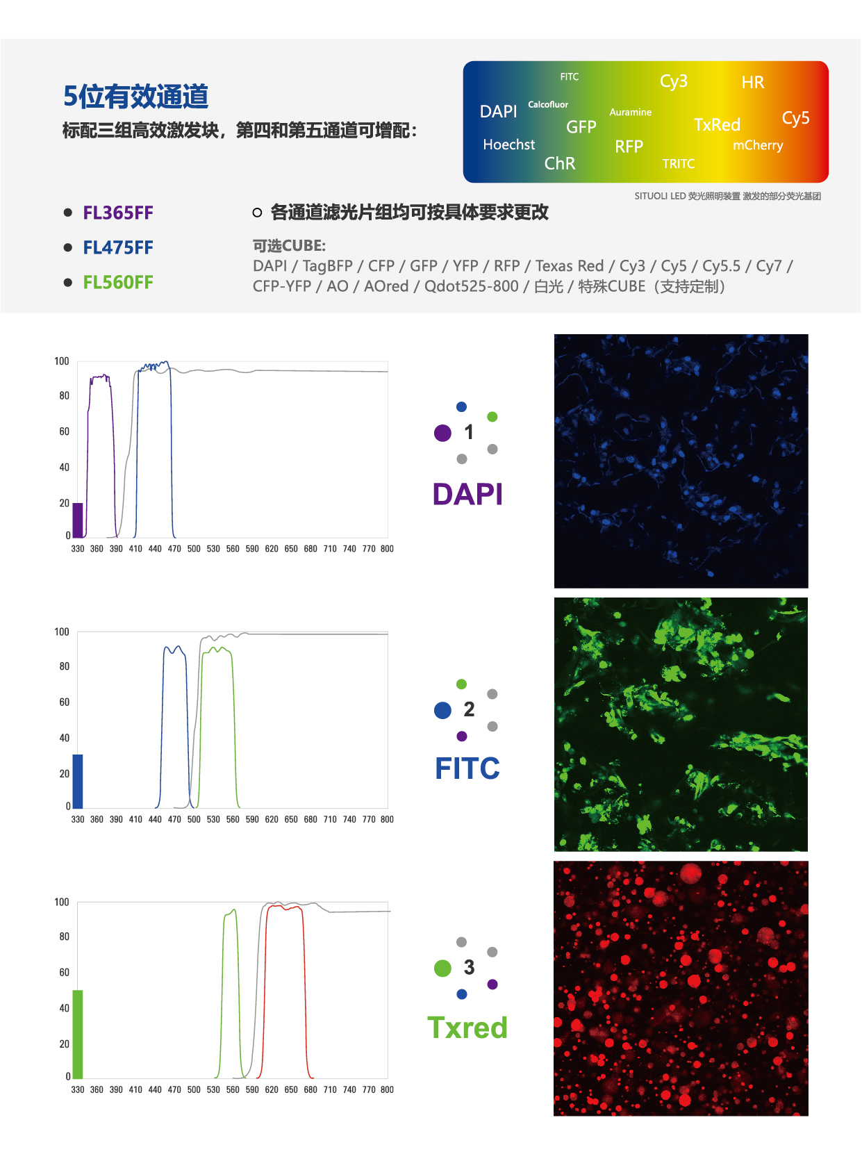 STL-UBGFLA5 体视5位电动荧光模块_画板 1 副本 6.jpg